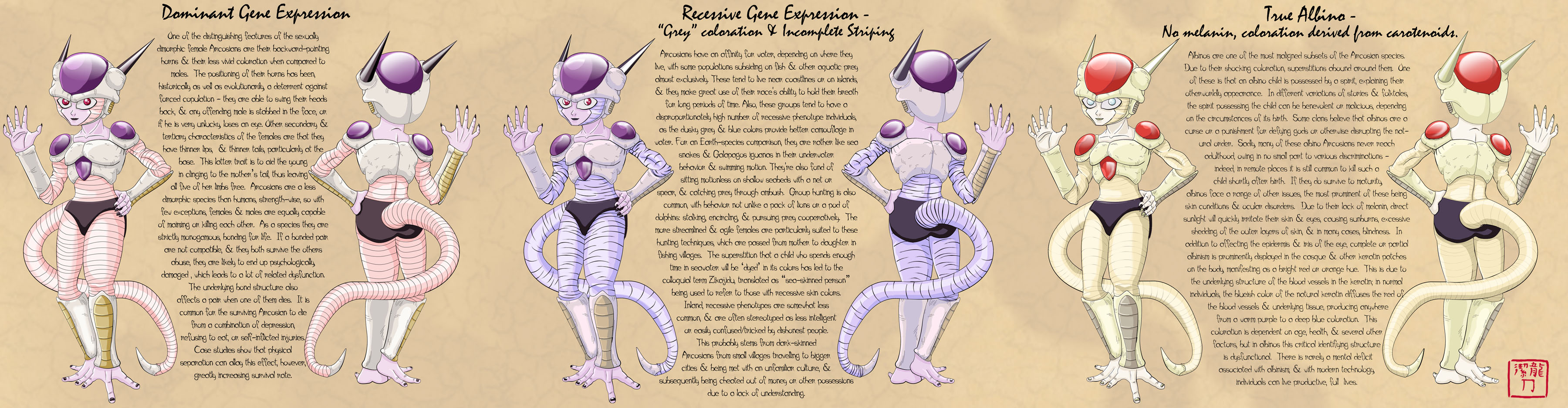 Arcosian Reference Sheet - Female