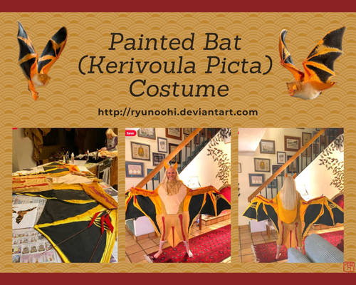 Painted Bat (Kerivoula Picta) Costume