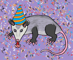 Party Possum Animation1