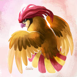 017 - Pidgeotto