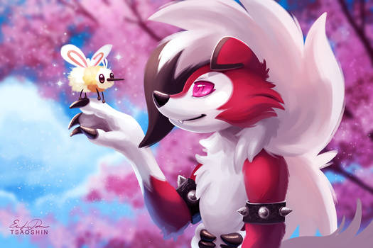 Lycanroc and Cutiefly