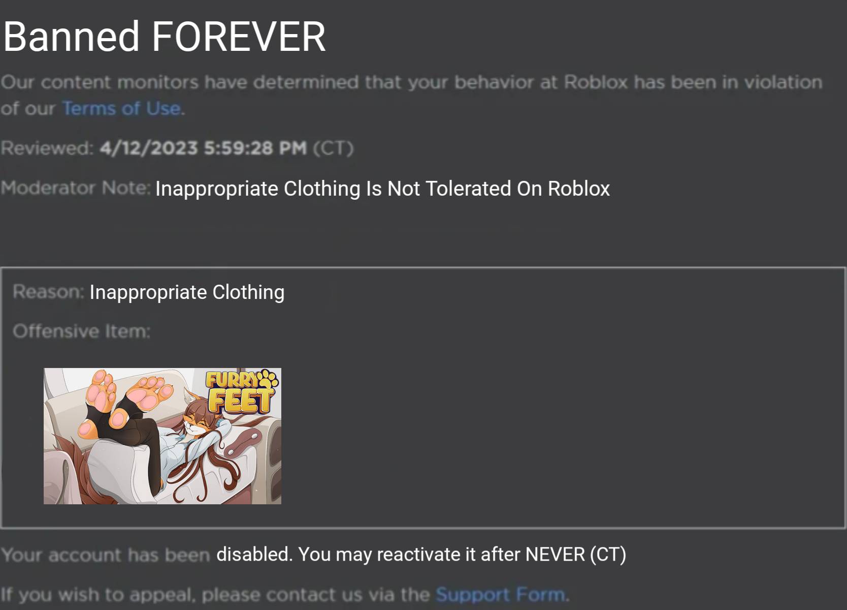 My second ever Roblox ban by LDTV22 on DeviantArt