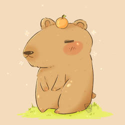 Lets chill with Capybara 