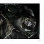 AVP painting head detail