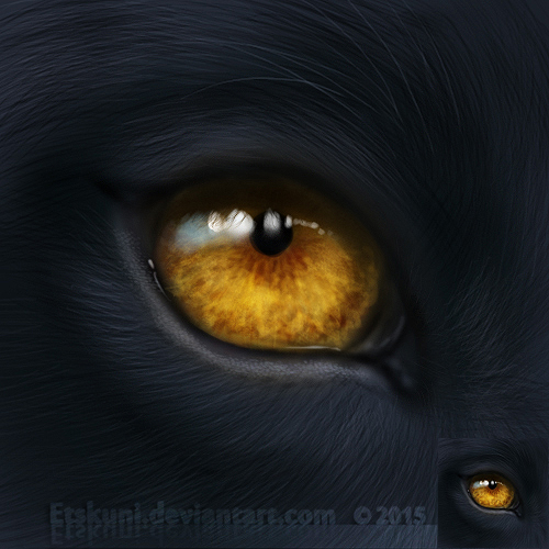 [Gift art] Siegmar's eye