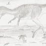 Austroraptor cabazai