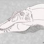 Unknown Spinosaur