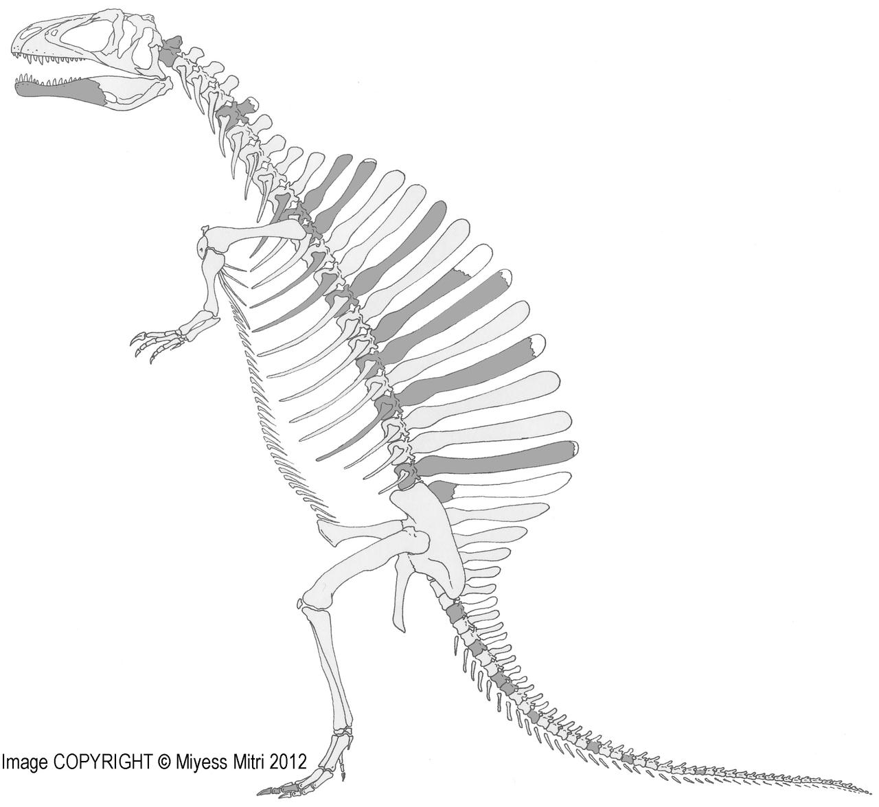 Spinosaurus Old Pose