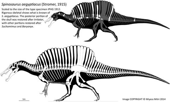 Outdated Spinosaurus