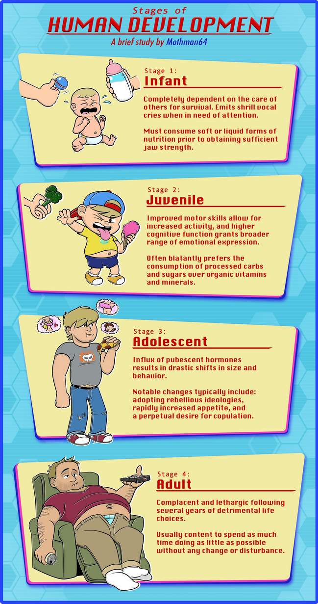 Stages of Human Development by Mothman64 on DeviantArt