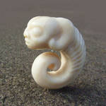 coiled creature by morpho2012