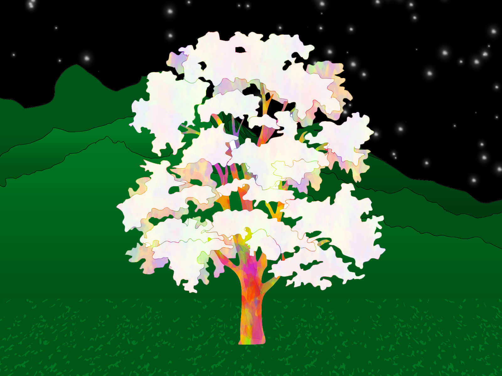 The Rainbow Tree...