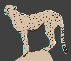 Cheetah