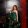 Poison Ivy