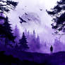Alone In The Forest