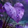 Purple theme plants by the lake