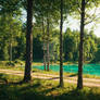 Lake in the forest