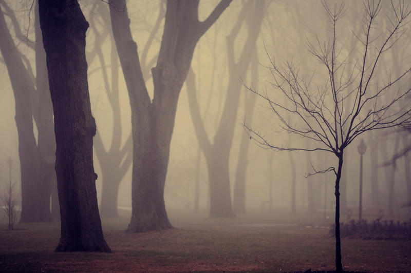 Foggy Memory By Beyondimpression On DeviantArt foggy-memory-by-beyondimpression-on-deviantart