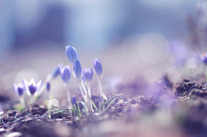 A Fresh New Start In Everything