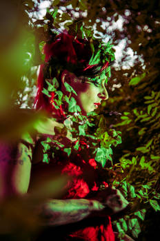 Poison Ivy