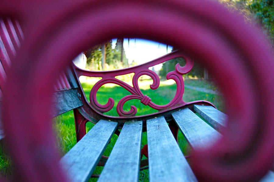 forgotten bench. by sunminnie on DeviantArt