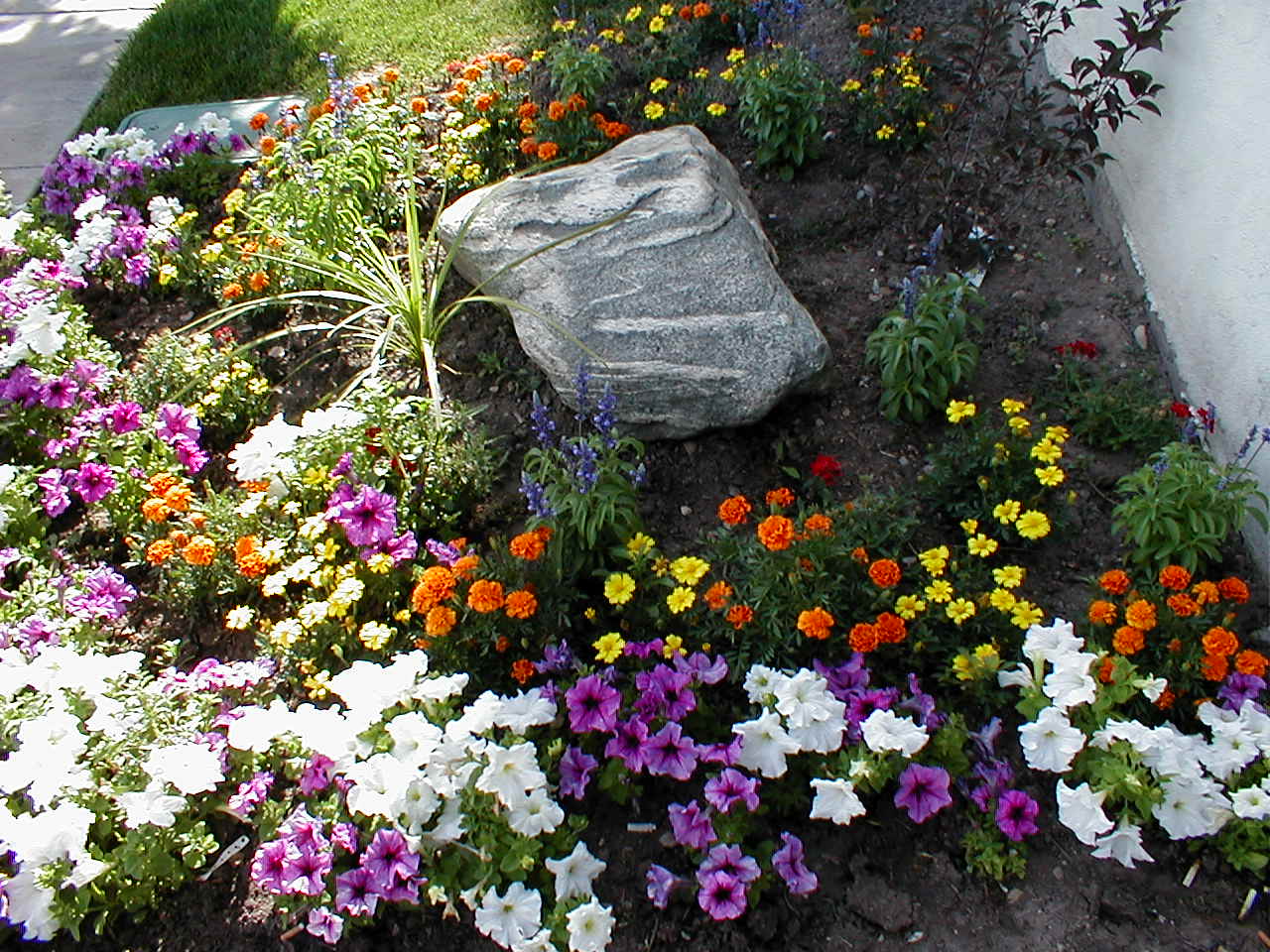 Flower bed with rock