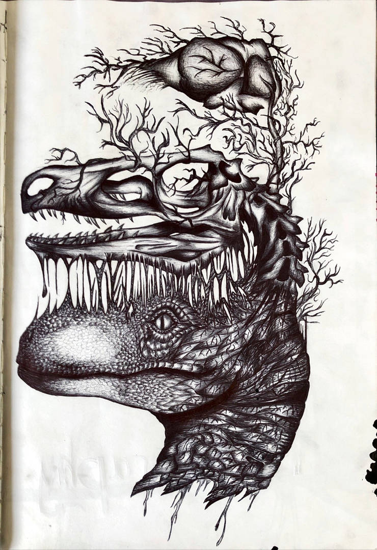 Biro Raptor Raptor Head Biro Drawing by LaurieHaslam on DeviantArt