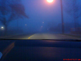 Foggy Morning Drive