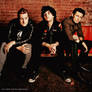 GreenDay Display_9