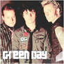 GreenDay Display_17