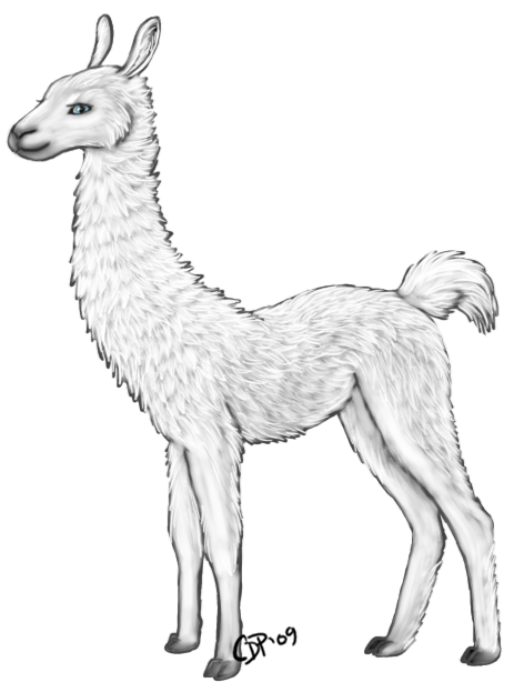 Llama Llama