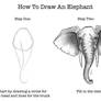 How To Draw An Elephant
