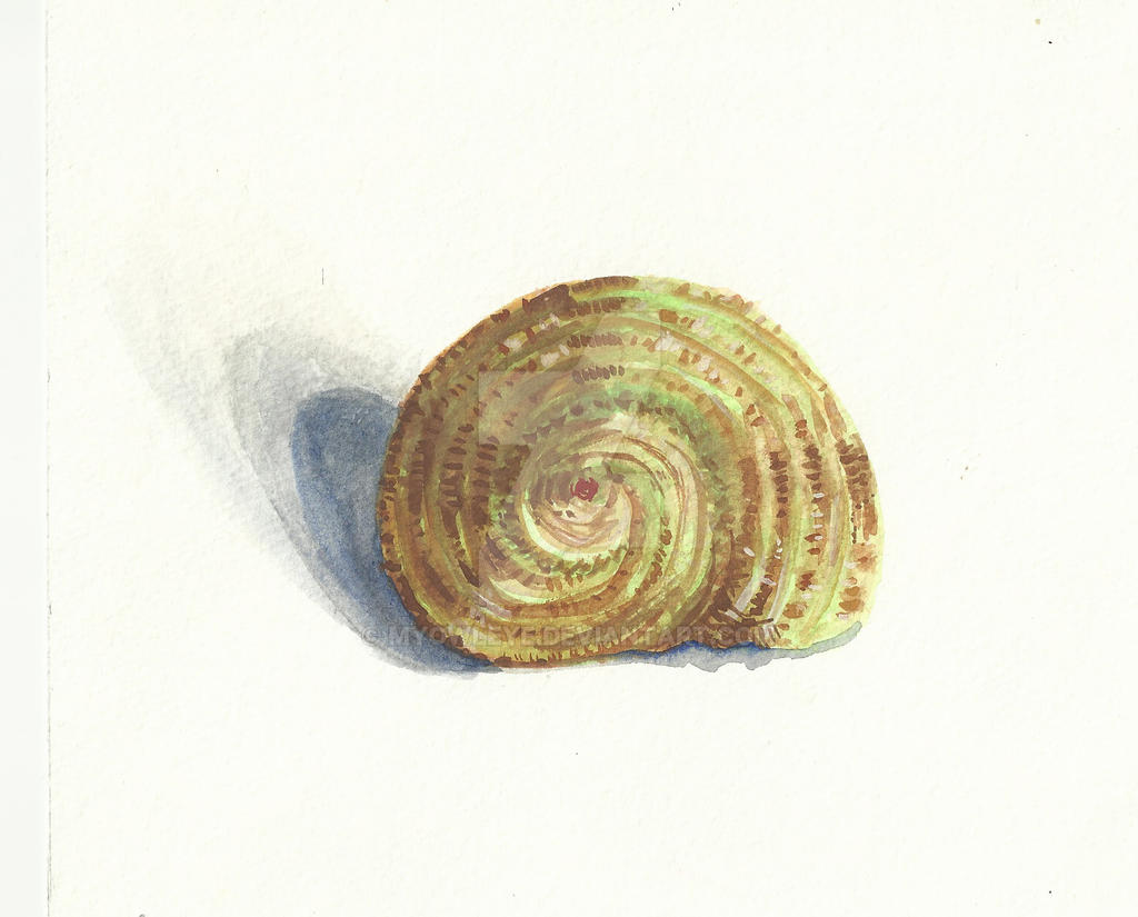 Shell