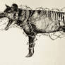 thylacine