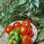 tomatoes and green pepper