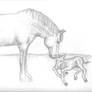 grey dapple shire and its foal for wolf-rain-jono