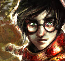 harry potter I