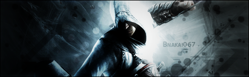 Assassin's Creed Sig