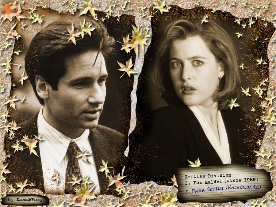 Mulder Scully's 1st meeting10