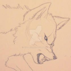 Wolf sketch