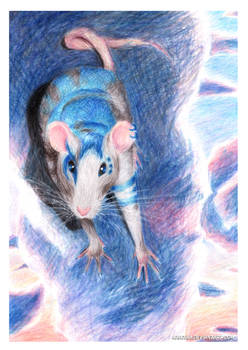 zodiac series : Rat