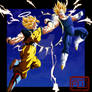 Goku Vs Majin Vegeta