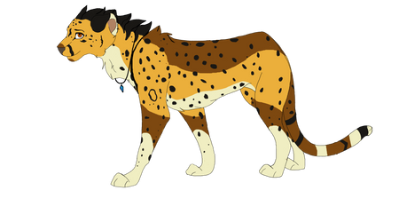 Cheetah design