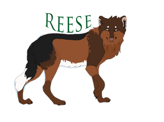 Reese