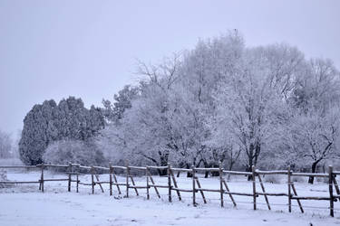 my winter wonderland by emozya