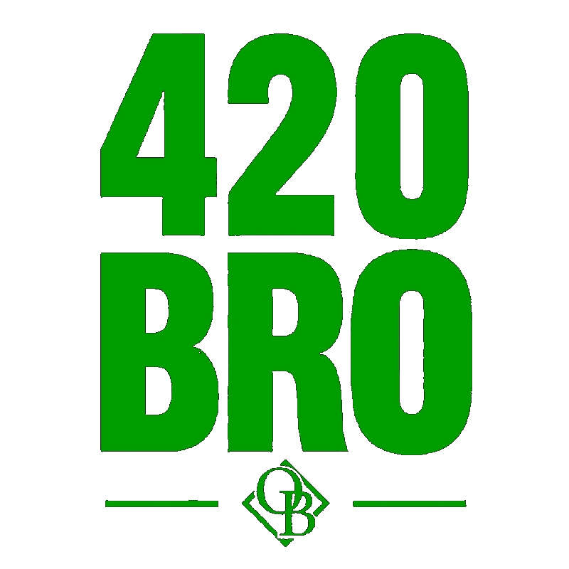 WWE Riddle Logo by matthewrea on DeviantArt