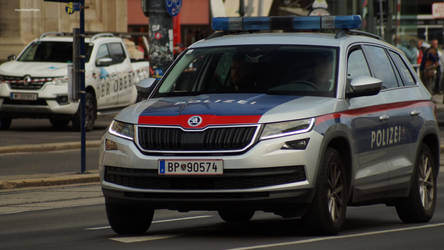 skoda police by ShadowPhotography