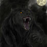 Yet another werewolf