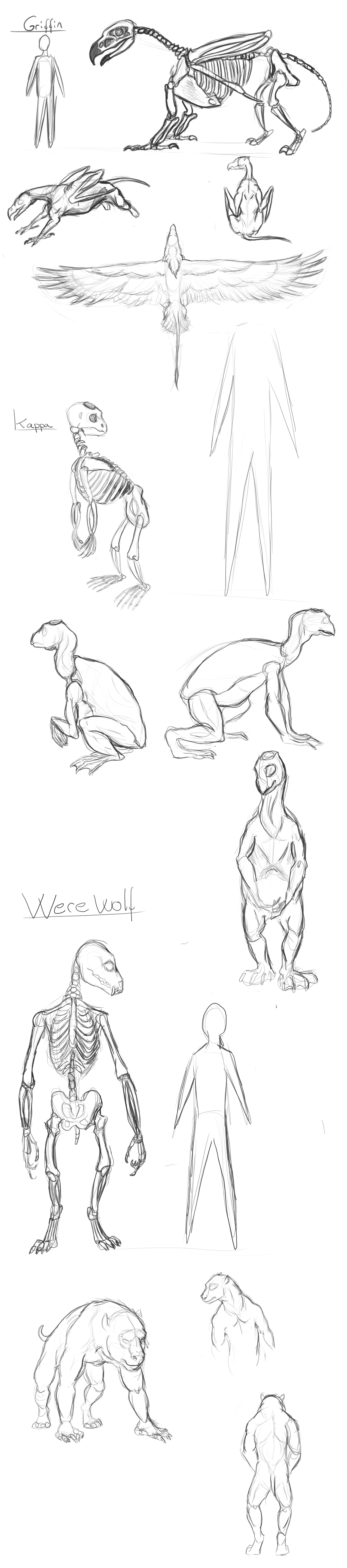 Mythical creatures - Anatomy sketches by FlobbyBobby on DeviantArt