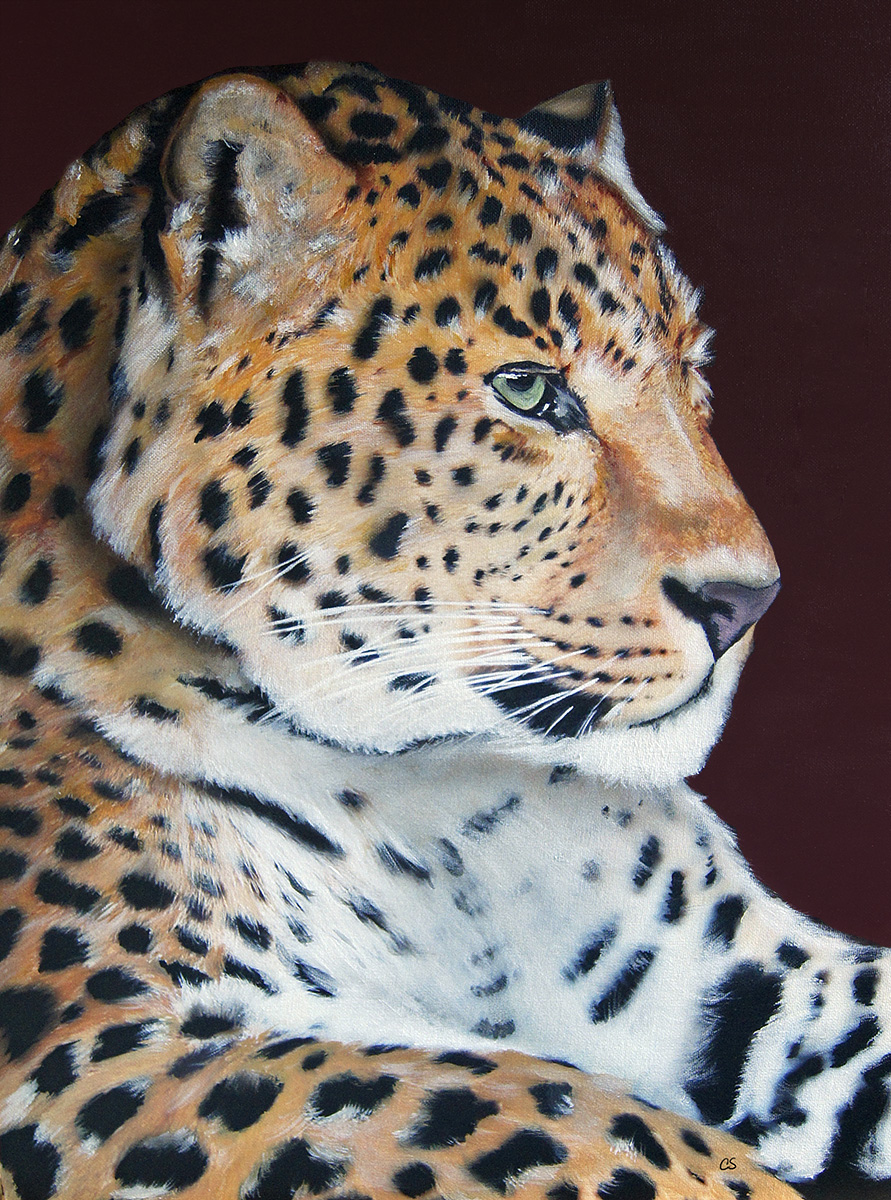 Spotted Leopard painting